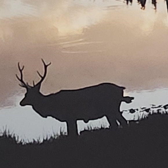 Wildlife Photo Art American Elk in Estes Colorado by Tom Mussehl - Picture 4 of 10